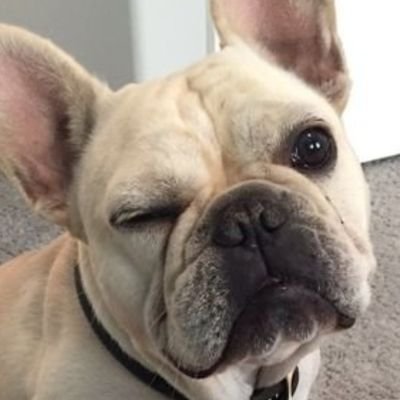 Citizen004's profile picture