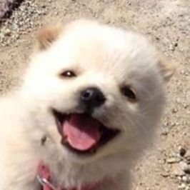 noreut_'s profile picture