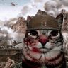 Skvtchy profil fotoğrafı
