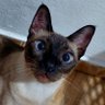Olupa Hights profil fotoğrafı