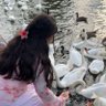 𝒫ℯ𝓇𝓁𝒶🦢 profil fotoğrafı