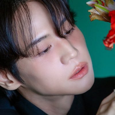 둥🪽's profile picture