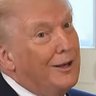 Gay4DJT 的头像
