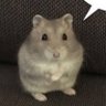 Profilbild von 잎시