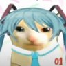 Axel Allende's profile picture