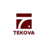 Tekova 的头像
