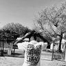 Polopian_1.0's profile picture