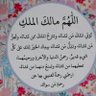 Profilbild von زهور الريف