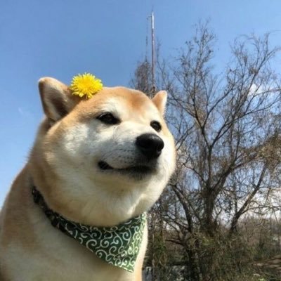 xiaopin30256770's profile picture