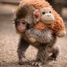 Фото профиля generacion perdida