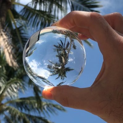 nettisteel's profile picture