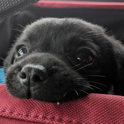 reconvfxx's profile picture