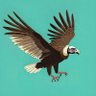 Crypto Condor 🦅 profil fotoğrafı