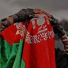 Ahmad Zia Habibyar's profile picture