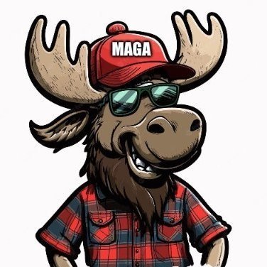 Mooses Felix 🇺🇸's profile picture