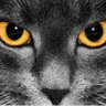 vivi profil fotoğrafı