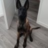 toto's profile picture