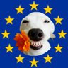 🌼 Ms Summerblossom 🇪🇺🤝🇨🇦's profile picture