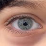 شبل شمر profil fotoğrafı