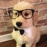 Nate Hughes (Ben Rice Enjoyer)'s profile picture