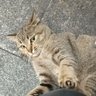 benjamin profil fotoğrafı