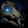 🌌🌲Nocturnal_Noticer🌲🐈⬛ profil fotoğrafı