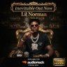 Profilbild von LIL NORMAN 10000 HOODS