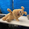 ぴかりん 的头像