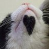 niki68's profile picture