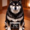 Totakeke_cto profil fotoğrafı