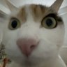 长大我要开eva's profile picture