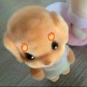 Profilbild von y yy bo