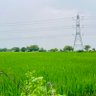 Guddu Bhaiya 的头像