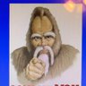 Profilbild von CharlesSasquatch 🇺🇸