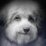 *͏ profil fotoğrafı