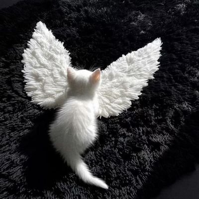 等雪夜's profile picture