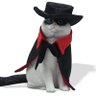 Zorro's profile picture