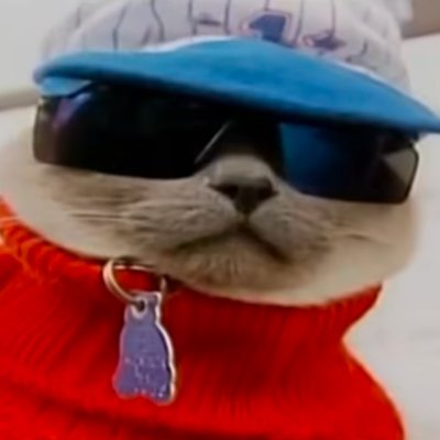 mattstdream's profile picture