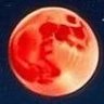 Profilbild von Will Castle