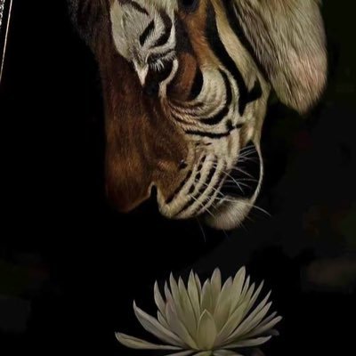 boluoye1124's profile picture