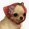 Profilbild von 🪁🪻Lizzy 🪻🪁