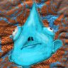 Profilbild von GooberFella