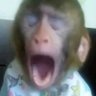 Profilbild von ๐ฃ
