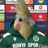 Yelløw's profile picture