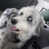 Sinan profil fotoğrafı