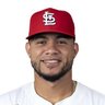 Willson Contreras Enjoyer's profile picture