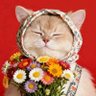 rita rita's profile picture