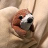 たちこま 的头像