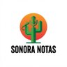 Фото профиля Sonora Notas