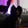 Milja's profile picture